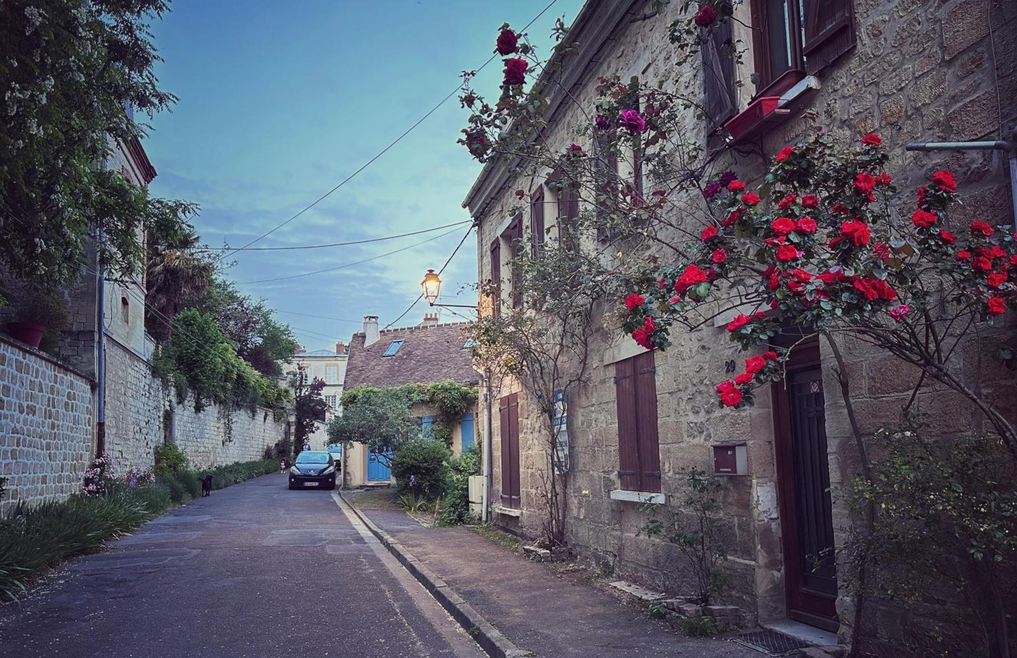 Les Persiennes Bed and Breakfast Auvers-sur-Oise Buitenkant foto